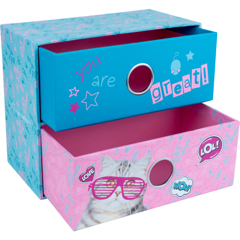 Desk organizer «Drawer», Kite Rachael Hale R22-410, cardboard