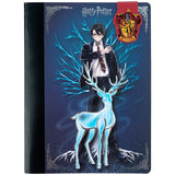 Блокнот з магнітною закладкою Kite Harry Potter HP25-192, А5, 60 аркушів, клітинка Блокнот з магнітною закладкою Kite Harry Potter HP25-192, А5, 60 аркушів, клітинка