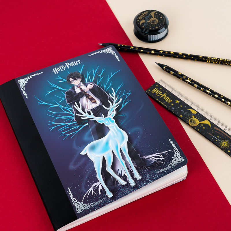 Notebook and page clip Kite Harry Potter HP25-192, А5, 60 sheets, squared