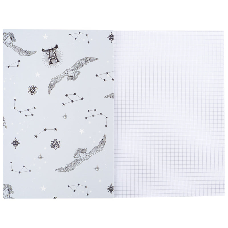 Notebook Kite Harry Potter  HP24-091, А5, 40 sheets, squared