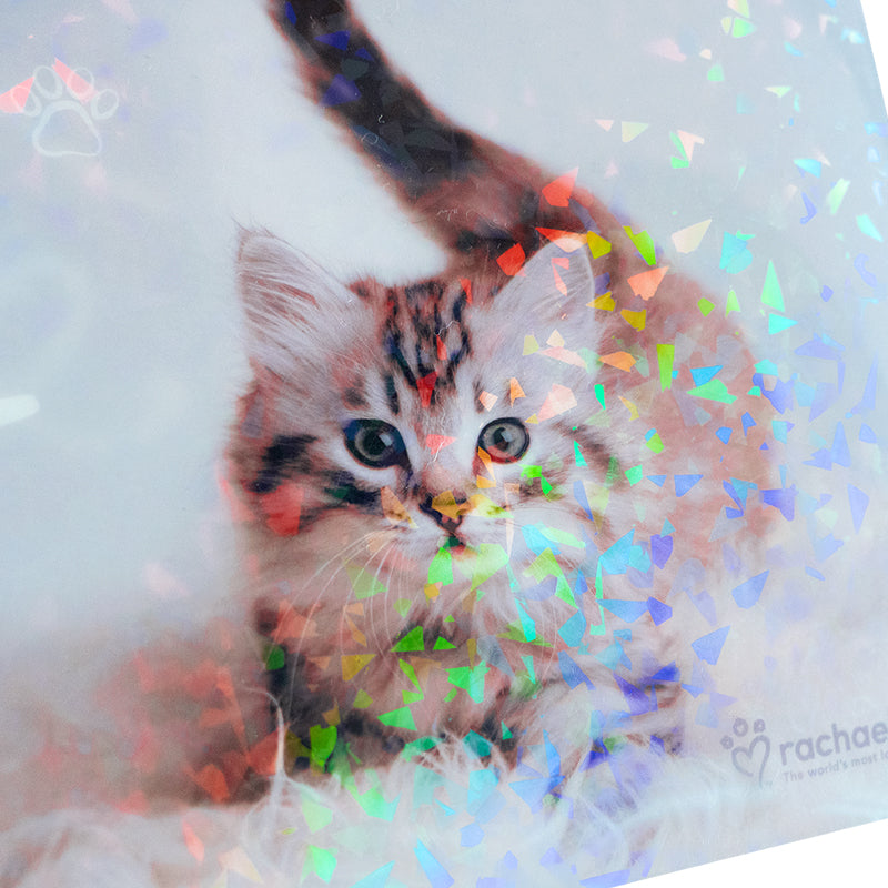 Папка на кнопці Kite Rachael Hale R25-244, A4