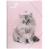 Folder with elastic bands Kite Rachael Hale R25-247, A4