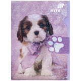 L-shape folder with flap Kite Rachael Hale R25-248, A4