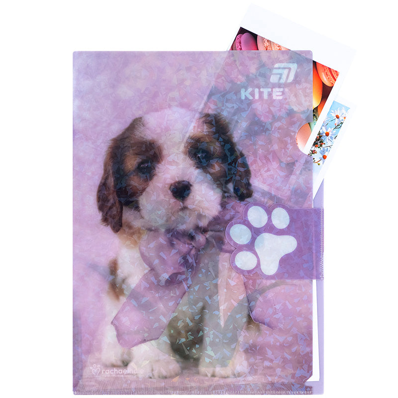 L-shape folder with flap Kite Rachael Hale R25-248, A4