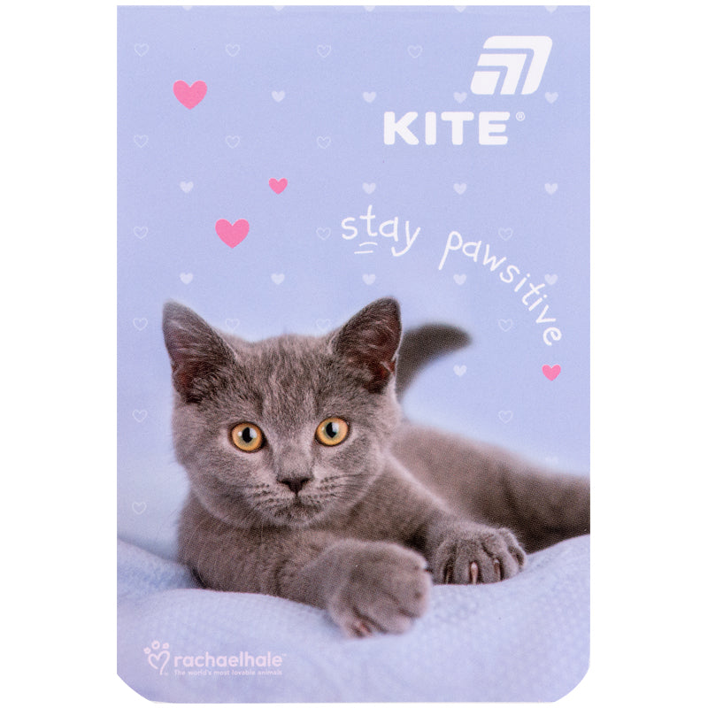 Notebook Kite Rachael Hale R26-224, 48 sheets, grid