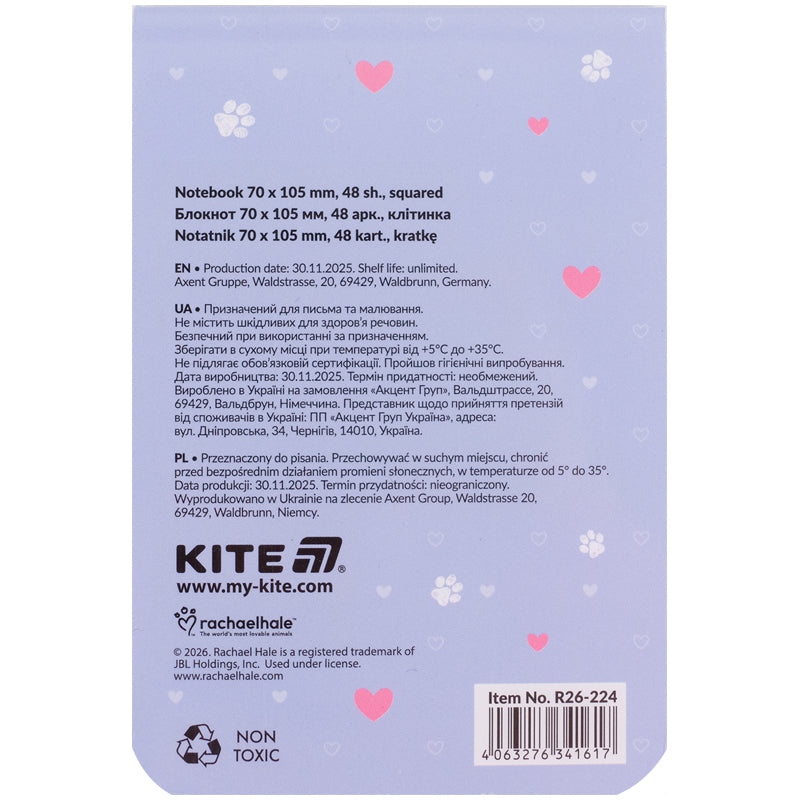 Notebook Kite Rachael Hale R26-224, 48 sheets, grid