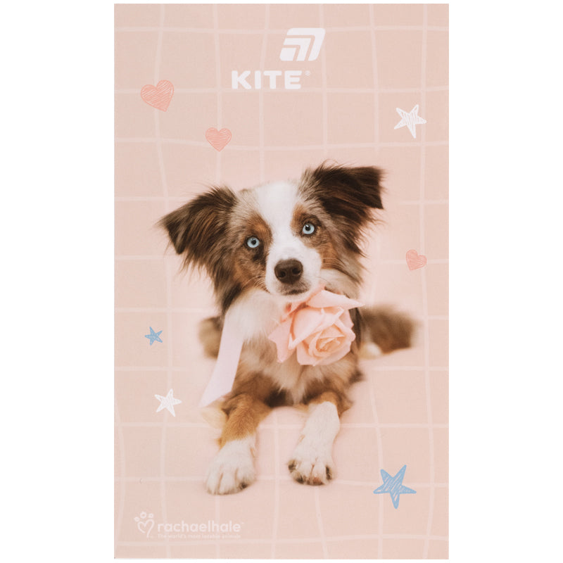 Notepad Kite Rachael Hale R26-195, A6, 50 sheets, blank
