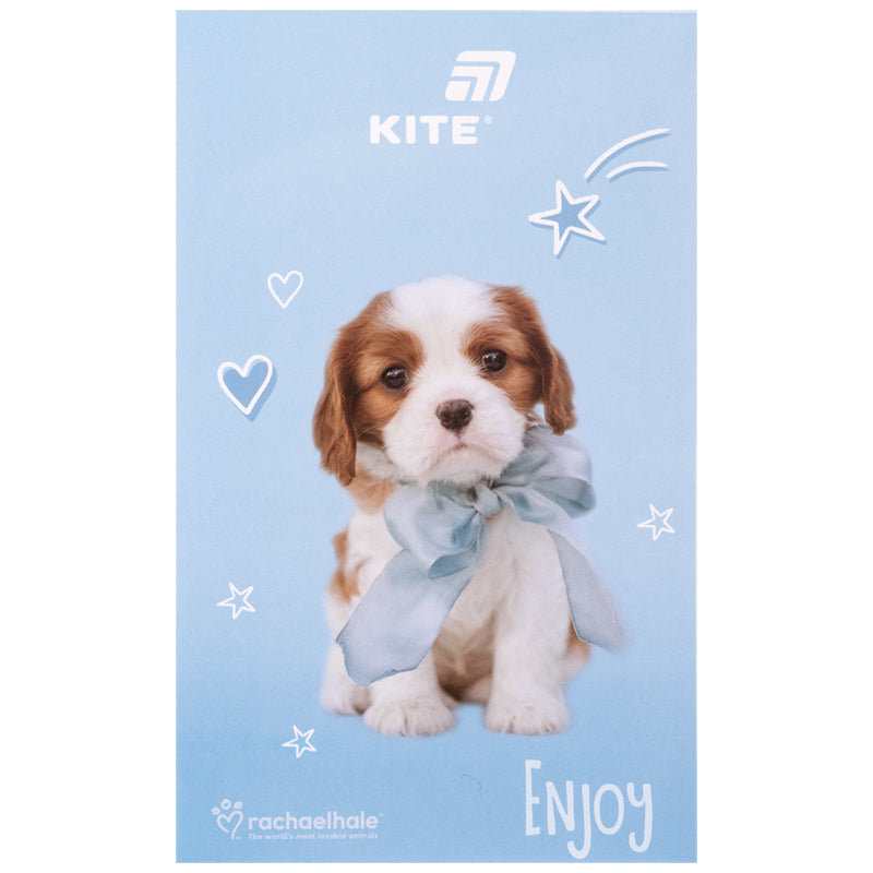 Notepad Kite Rachael Hale R26-195, A6, 50 sheets, blank