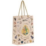 Gift paper bag Kite Harry Potter HP26-265, 18х24cm