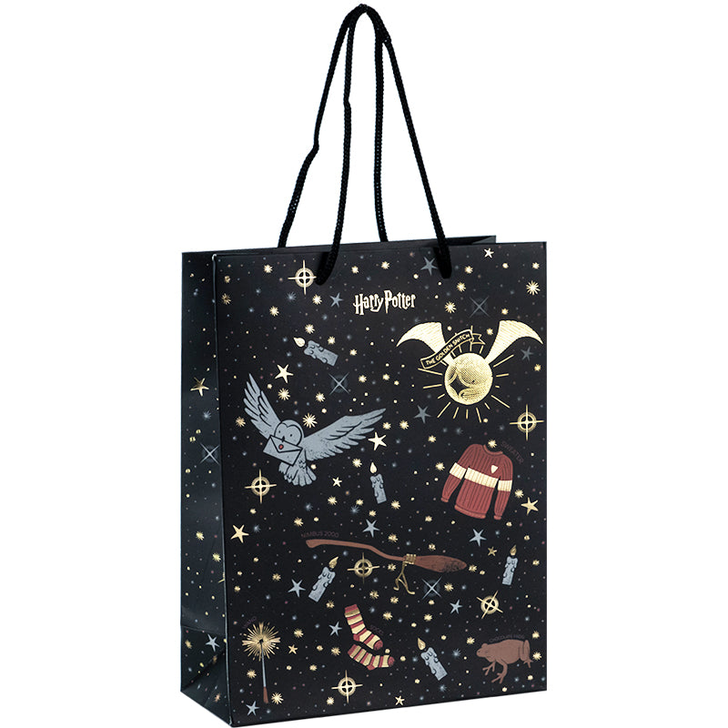Paper gift bag Kite Harry Potter HP24-265, 18х24cm